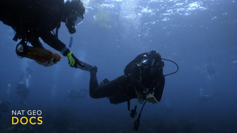 Diving with a Purpose